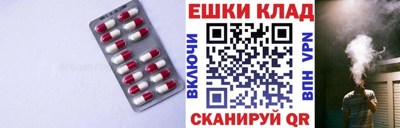 где найти наркотики  Конаково  omg ссылка  Экстази 250 мг 